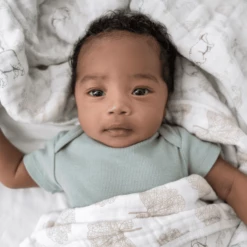 Aden Coperta In Mussola +anais Harmony -Negozio online Pink Or Blue aden coperta in mussola anais harmony a410150 2