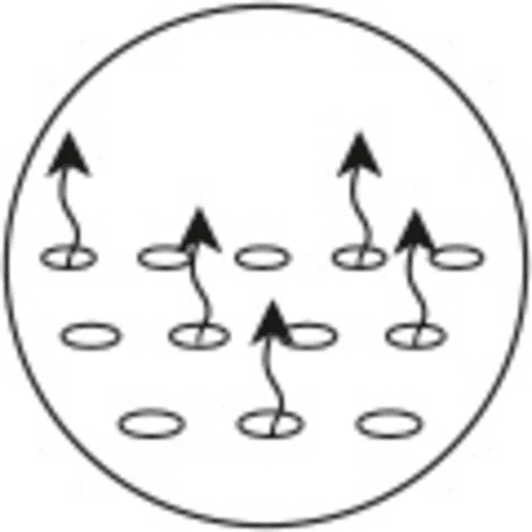 ALVI ALVI Materasso Schlummerle 70 X 140 Cm 7 ALVI ALVI Materasso Schlummerle 70 X 140 Cm - immagine 5