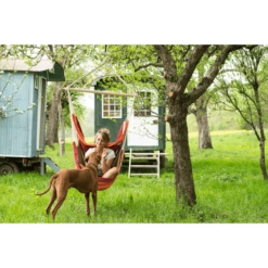 AMAZONAS Amaca Brasil Acerola -Negozio online Pink Or Blue amazonas amaca brasil acerola a159253 4