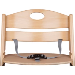 BabyGO Seggiolone Family XL -Negozio online Pink Or Blue babygo seggiolone family xl a239038 2