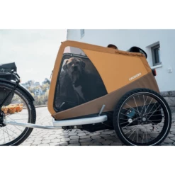 CROOZER Rimorchio Per Cani Dog Enna Sundown Yellow -Negozio online Pink Or Blue croozer rimorchio per cani dog enna sundown yellow a333485 1