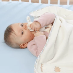 FEHN Copertina Baby Love Pecora Paul -Negozio online Pink Or Blue fehn copertina baby love pecora paul a005535 4