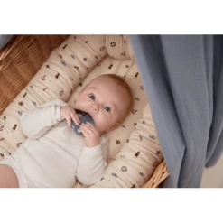 FILIBABBA Baldacchino Powder Blu -Negozio online Pink Or Blue filibabba baldacchino powder blu a411062 2