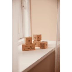 Filibabba Blocchi Di Età In Legno -Negozio online Pink Or Blue filibabba blocchi di eta in legno a383149 4