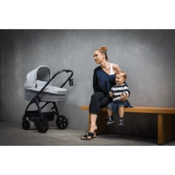 Hauck Navicella Saturn Lunar/Stone -Negozio online Pink Or Blue hauck navicella saturn lunar stone a265260 3