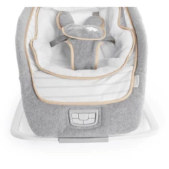 Ingenuity Sdraietta Oscillante Bella Teddy 11 Ingenuity Sdraietta Oscillante Bella Teddy -Negozio online Pink Or Blue ingenuity sdraietta oscillante bella teddy a319546 4