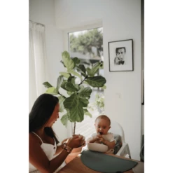 Mushie Tovaglietta In Silicone, Timo Secco -Negozio online Pink Or Blue mushie tovaglietta in silicone timo secco a399013 1