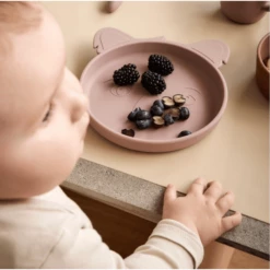 Nuuroo Piatto In Silicone Akila Koala 2 Pezzi, Woodrose -Negozio online Pink Or Blue nuuroo piatto in silicone akila koala 2 pezzi woodrose a363179 4