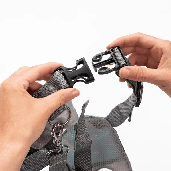 Reer Imbracatura Di Corsa E Di Protezione Per Bambini TravelkidGo 7 Reer Imbracatura Di Corsa E Di Protezione Per Bambini TravelkidGo - immagine 5