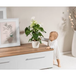 Reer Rete Di Protezione Per Piante Ø20cm Nero -Negozio online Pink Or Blue reer rete di protezione per piante o20cm nero a242204 3