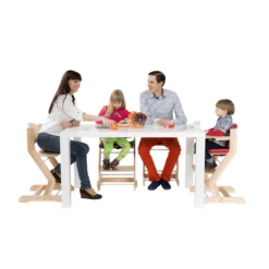 TiSsi® Seggiolone Con Bracciolo Di Sicurezza Grigio -Negozio online Pink Or Blue tissi seggiolone con bracciolo di sicurezza grigio a282548 4